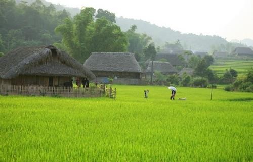 Le village de Tha, un endroit pittoresque - ảnh 1